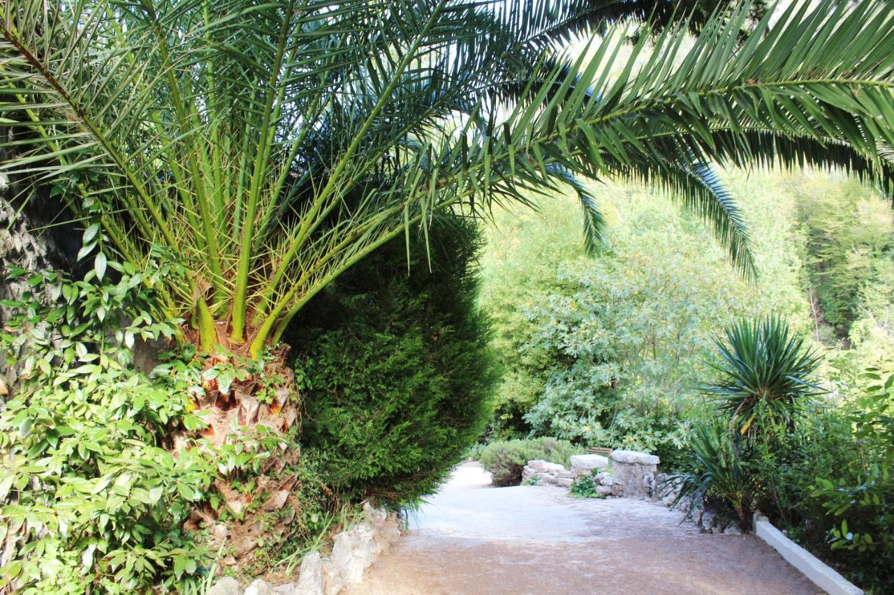 Le Mas Des Alizés La Colle-sur-Loup Esterno foto